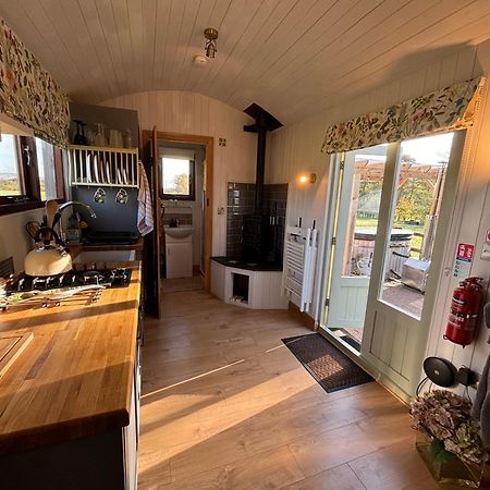Bed and Breakfast Bron Hafren Монтгомери Экстерьер фото