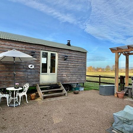 Bed and Breakfast Bron Hafren Монтгомери Экстерьер фото
